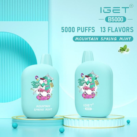 2024 Best Vape Iget B 5000 Puffs Disposable Smooth Hit Vape
