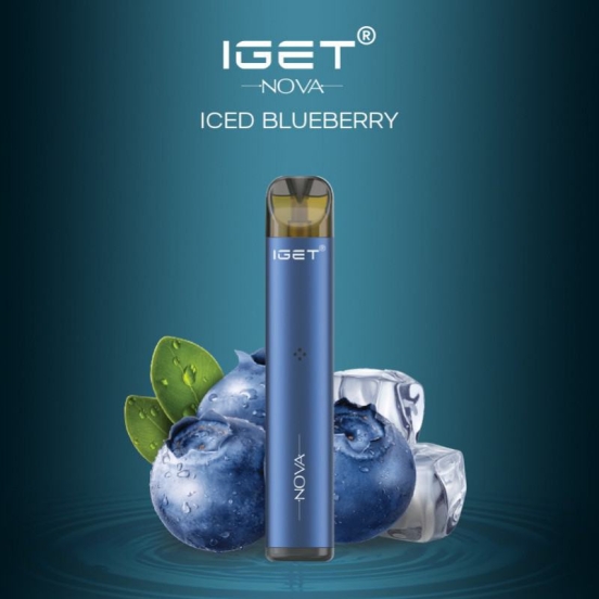 Hot Selling Iget Nova 500 Puffs Vape Wholesale Price