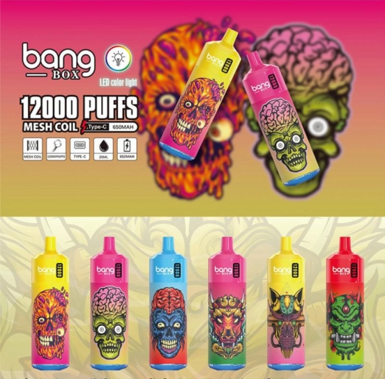 Hot Sale Bang Pen 12k Puffs Hits Vape Puffs