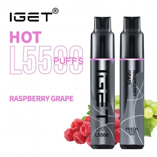 Authentic Disposable Iget 5500 Puffs Vapes Wholesale