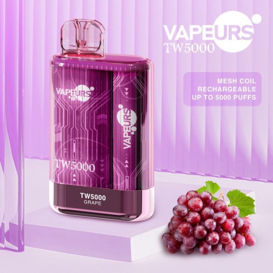Good Price Disposable Vapes Wholesale urs Urs Tw 5000 1500 Puffs