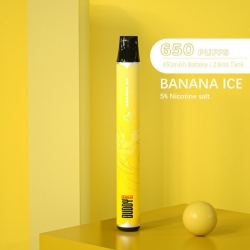 Buddy Disposable Vape Device