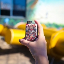 customize C228 Electronic Cigarette