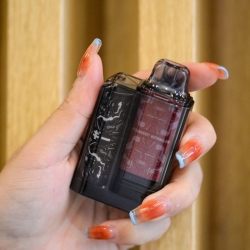 Rincoe Rincoe Disposable 2000 Puffs Vape