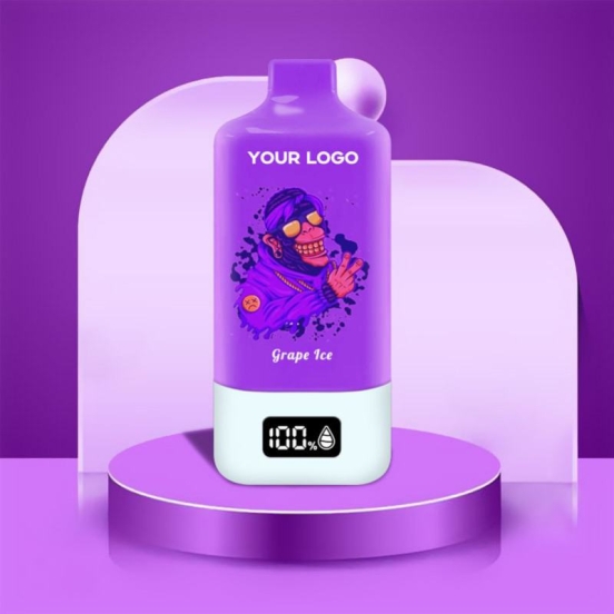 Cheap Pricing Baish Disposable Vape Brands Zbood R69 15000