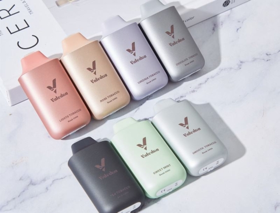 2024 Bulk Price Smok Big Puff Pens Plus