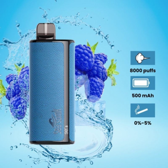 2024 Bulk Pricing Wholesale Seasomk Vm62 Disposable Vape Pens