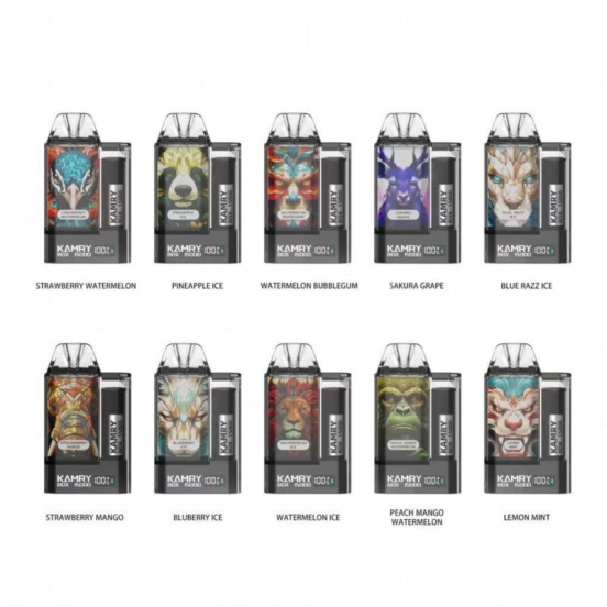 Top-notch Vaping Kamry 15000 Disposable E-cigarette Puff