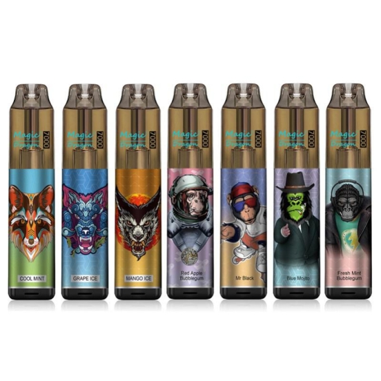 Best Quality Sup Wholesale Disposable Vape Magic Dragon 7000 Puffs