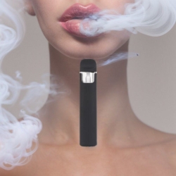 LEEFOG Nova2-c Pro Disposable E-cigarette Nicotine