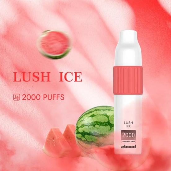 Hot Selling Baish Zbood Smart2 2000 Disposable Vape Pen Wholesale