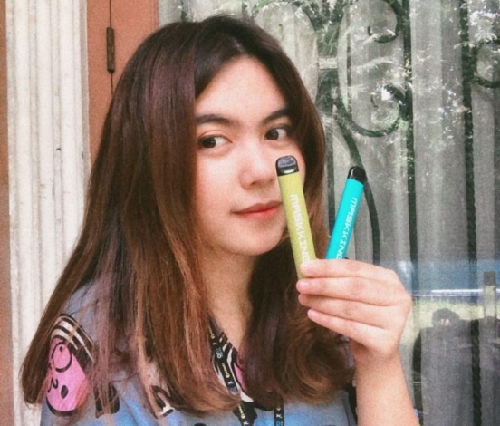 Disposable Vape Maskking Gt 500+ Puffs Wholesale