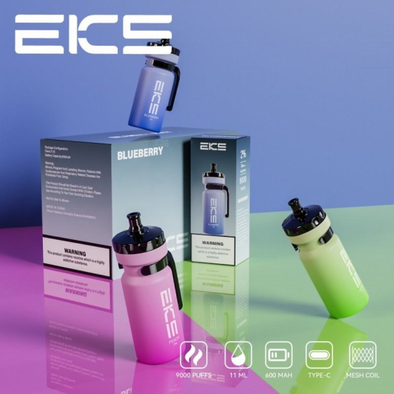 Original EKS Kettle 9000 Puffs Vapes Wholesale