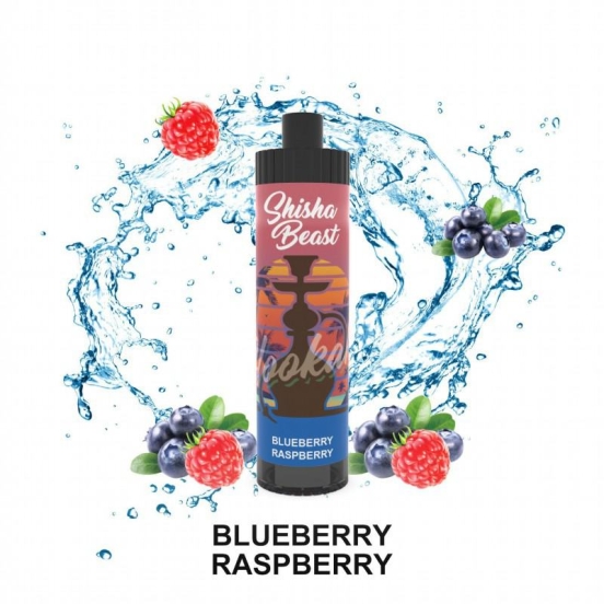 2024's Finest Vaping Disposable R&M Shisha Beast 20000