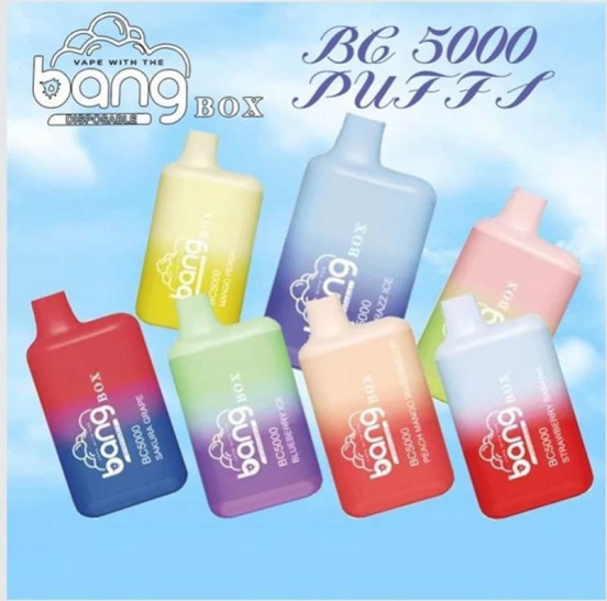 Premium Vape Pen Bang Bc 5000 5k Disposable E S Disposable Vape Wholesale