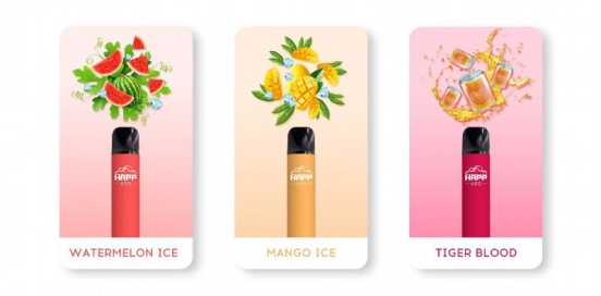 Wholesale Disposable Vapes Ocitytimes 600 Puffs