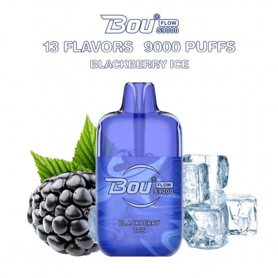 Best BOU Wholesale Disposable Vape Pen Bou Flow S 9000 Puffs