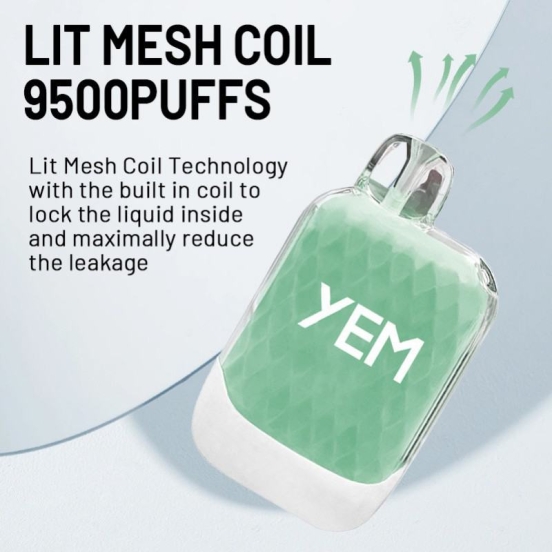 yem Td95-13mini 9500 Puffs Wholesale Vape