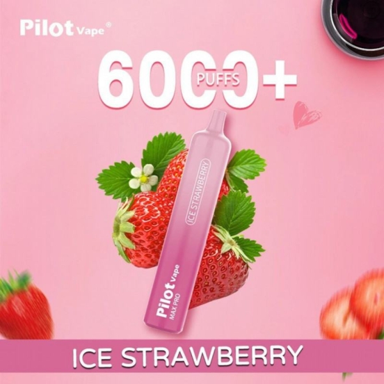Top Selling Vape Pen Wholesale pilot 6000 Pilot 6000 Puffs