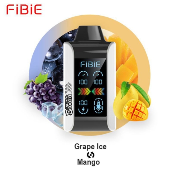 FIBIE 15000 Puffs Disposable Vape Device