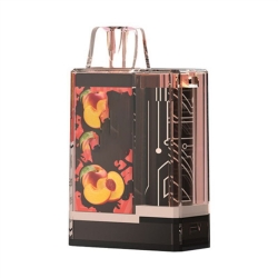 OEM ODM E Oem Brand 350040005000 Puffs Disposable Vapes