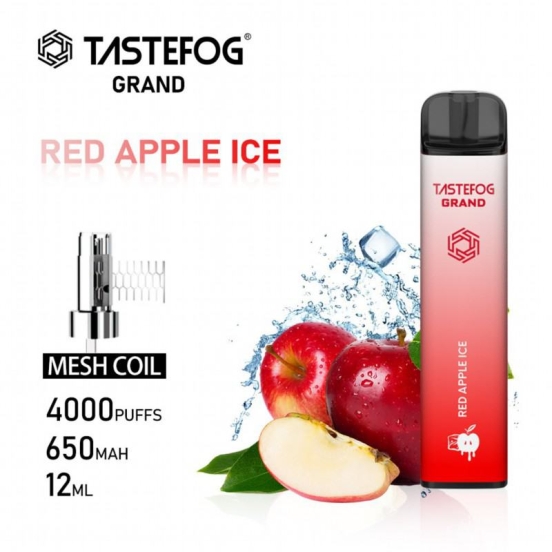 2024's Top Sellers Vapes Wholesale TASTEFOG Grand