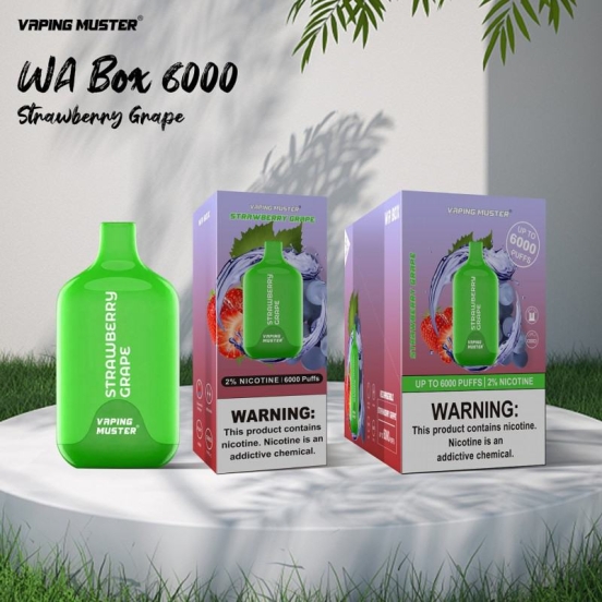 2024 Best Vape Niimoo Disposable Vape Pen Vmwabox 6000 Puffs Wholesale