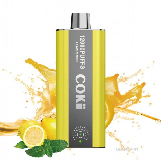 Best Selling Insta Cokii Time Clock 15000 Puffs Disposable Vape