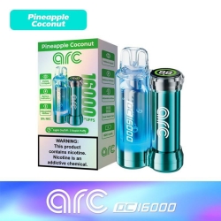 Iplay Disposable Vapes Arc Dc 16000 Puffs
