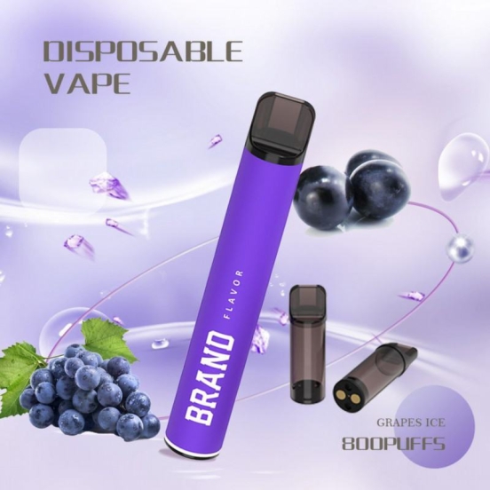 Hot Selling Disposable Vape no 600 Puffs Brands