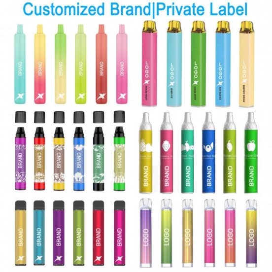 Wholesale Disposable Vape OEM ODM Oem 600 Puffs