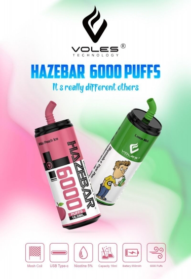 Top Picks 2024 RANDM Wholesale Haze 6000 8000 Puffs Disposable Vape