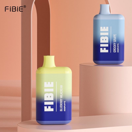 Wide Flavor Selection Smok Fibie  Box 4000 Puffs Vape Flavors