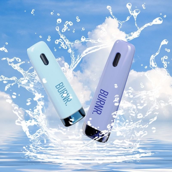 2024 Best Selling BURNR E25 Disposable Vape Bulk Price