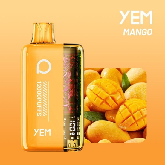 YEM Bm12s-56mn 12000 Puffs Vape Disposable Wholesale