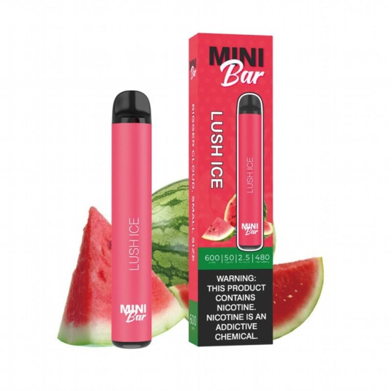 Mini Vape Pen Js631 600 Puffs