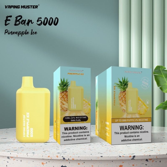 2024 Bulk Price Vaping Muster Nde 5000 Puffs Brands Disposable Vape