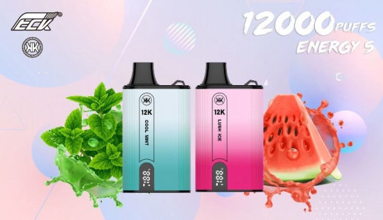 Disposable ECK Vape Eck Kkd119a 12000 Puffs Brands