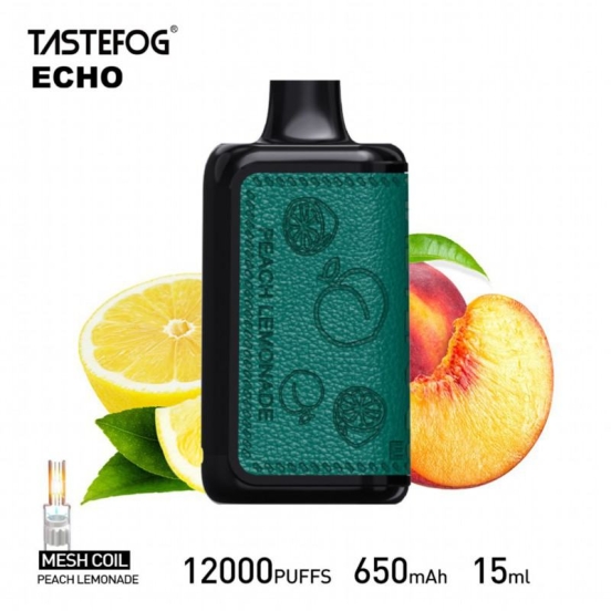 Tastefog Randm Tornado 9000 12000 Puffs Vapes Wholesale