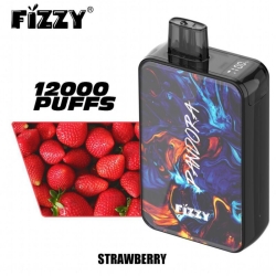 Disposable Fizzy Pandora 12000 Puffs Vape Pen