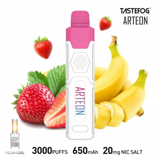 Best Vape Pen Disposable TASTEFOG/OEM Vape Arteon 3000 Puffs Wholesale