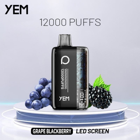 Bulk Pricing YEM Bm12s-26bs 12000 Puffs Wholesale Disposable Vape Pens