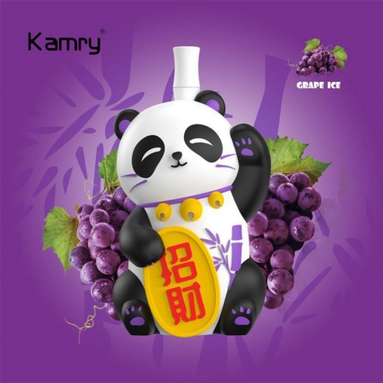 Premium Kamry 8000 Puffs Vapes