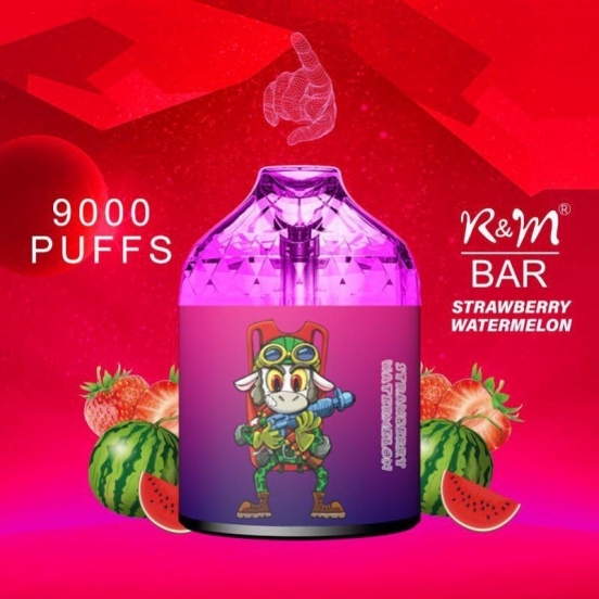 Disposable RANDM Vape Pen R&m 9000 Puffs Wholesale Price