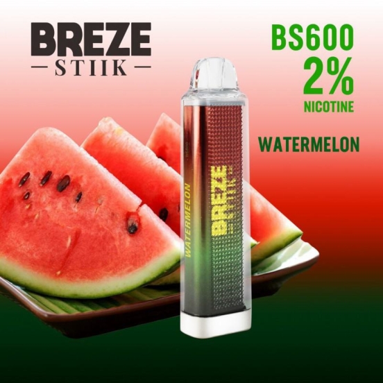 2024 Bulk Pricing D Breze Stiik Bs 600 Puffs Vape Big Puff Pens Plus
