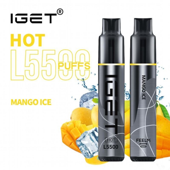 All Flavors Vape IGET Iget Hot L5500 5000 Puffs Wholesale