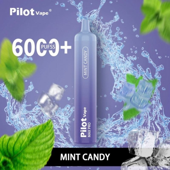 Top Selling Vape Pen Wholesale pilot 6000 Pilot 6000 Puffs