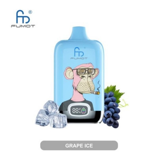 Oem Randm Digital Box Disposable E-cigarette Nicotine