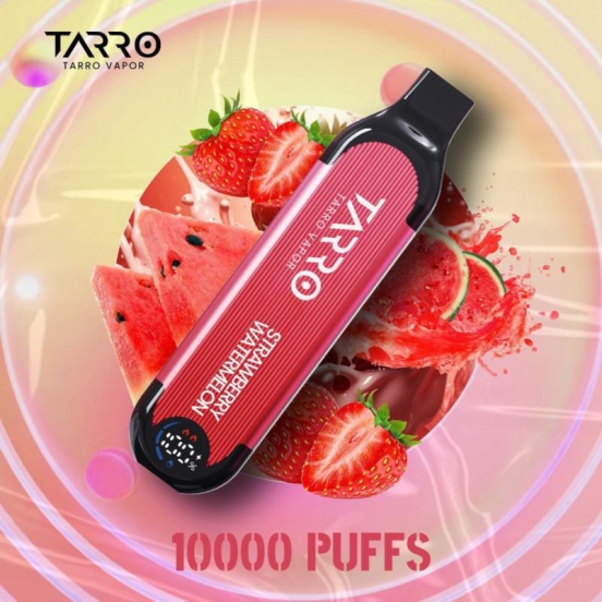 Customize Z-915 Bc5000 Puffs Disposable Vape Bulk Price