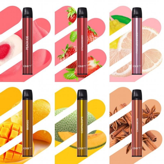 Disposable Iget Shion 600 Puffs Vape Bar Wholesale